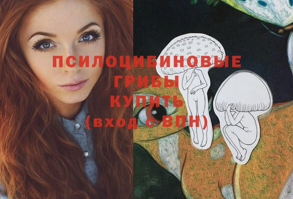 ПСИЛОЦИБИНОВЫЕ ГРИБЫ Балабаново